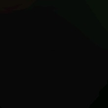 Guest_Gringo271461