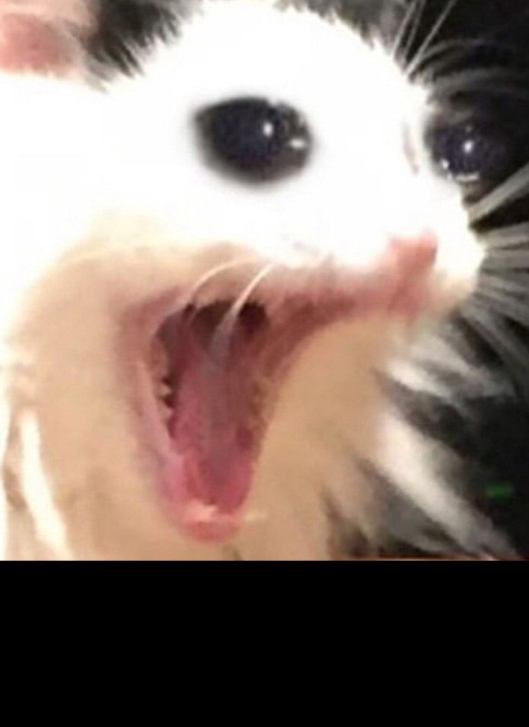 ShakenCola