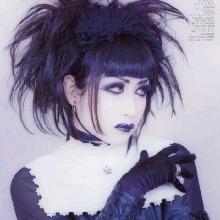 Guest_chrysanthme