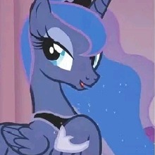 Guest_Florershai118