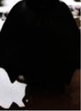 Guest_lopiss