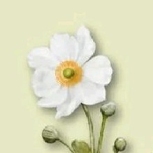 Guest_Lua759681