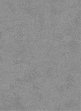 Guest_lee371603
