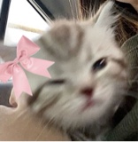 LittleLuvz
