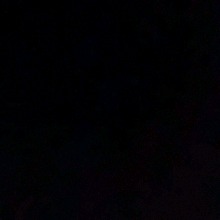 Guest_AssisX6