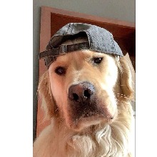 Guest_Micxy