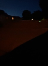 Guest_hxneytehe
