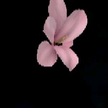 Guest_LEKSA9