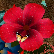 Guest_Paola845284