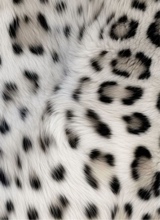 K0i5