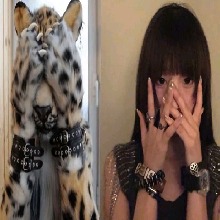Guest_f4c3s
