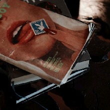 Guest_f4c3s