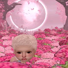 Guest_Mianey