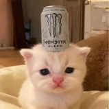 betuncito