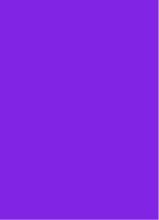 Guest_Alee590344