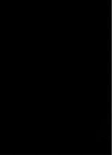 Han237819036