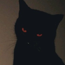 Guest_00000002a