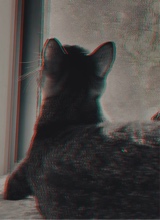 nvnna