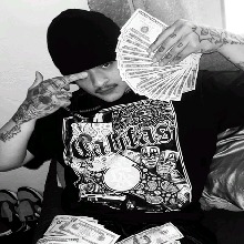 Guest_Chicox3