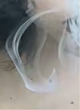 Guest_kittyyxxox