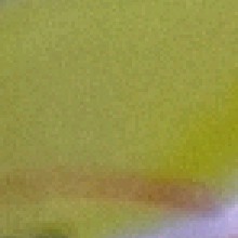 Guest_Memehsy