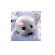 Guest_Alejandra570880