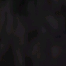 Guest_KIttygirl43