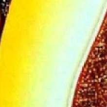 Guest_Rukshiny