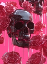 Guest_hilohilosh