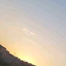 Guest_KATE852251