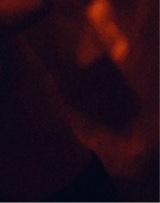 Guest_UnknownGisselle