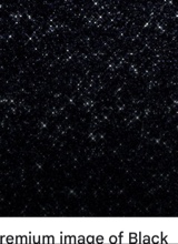 Guest_Camiii040