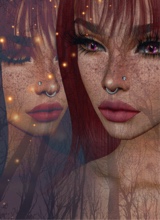 Guest_Loryna2
