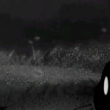Guest_Xispha