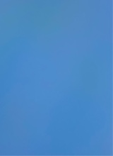 Guest_Kyrie11