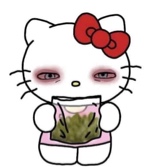 Guest_leahbaby3