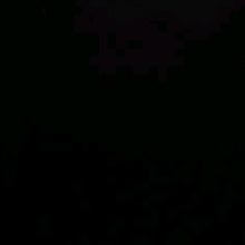 Guest_Renzin1