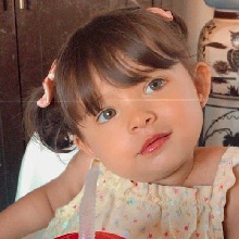 Guest_Biazinha973557