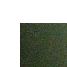 Guest_Pamela968985