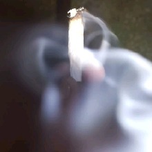 Guest_AlexKing24