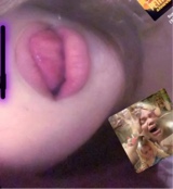 Guest_mushycanaryyellod204