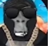 Guest_Ethan1239