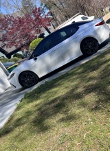 Guest_Flores5