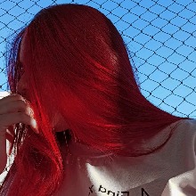 Guest_Vivi979216