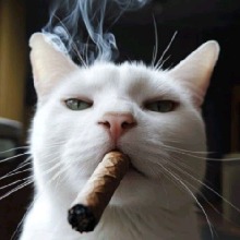 Guest_XxNovinhoCremosoxX