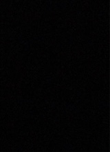 Guest_Dav0nt34001