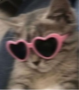 Guest_xccvu