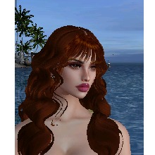 Guest_Kristina791