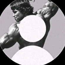 Guest_COBRA71