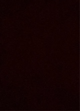 Guest_allisonnnnbby17